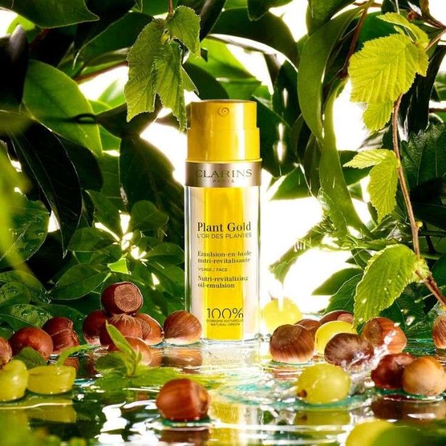 HKTVmall EcoMart - ? CLARINS Plant Gold Face Cream Nutri